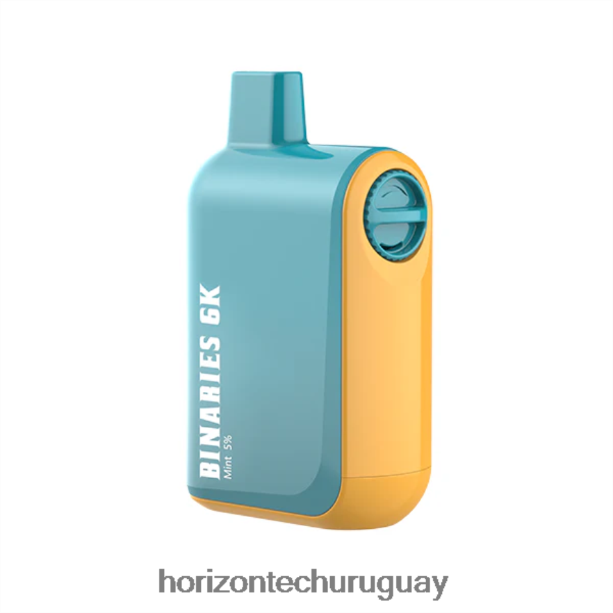 P0V44P40 menta HorizonTech Binaries Cabin desechable 15ml - Horizon Tech Company